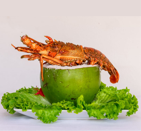04_lagosta_05